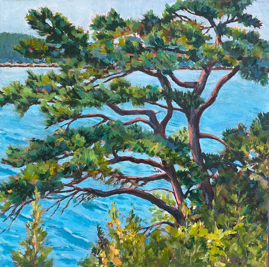 Trees of Somes Sound 2